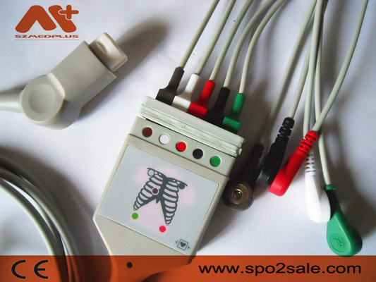 Führung ECG Philips Compatibles 5 Stamm-Kabel - M1520A