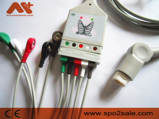 Führung ECG Philips Compatibles 5 Stamm-Kabel - M1520A