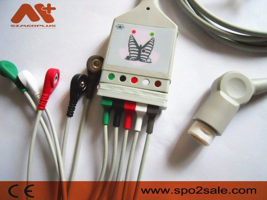 Führung ECG Philips Compatibles 5 Stamm-Kabel - M1520A